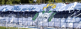 UN RUGIDO FIEL EN LA BOCA DEL LOBO